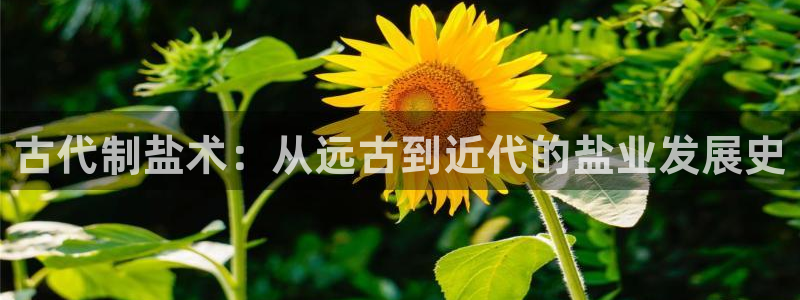 威九国际人民网招聘