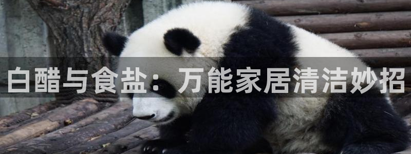 威九国际真人游戏