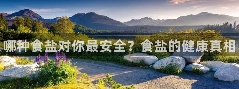 78mapp威九国际媒体