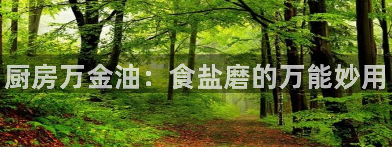 威九国际网站入口官网游戏推荐