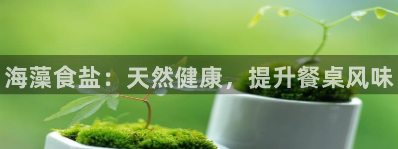 威九国际网站客服电话多少