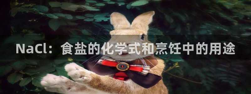 威九国际可以赚到钱