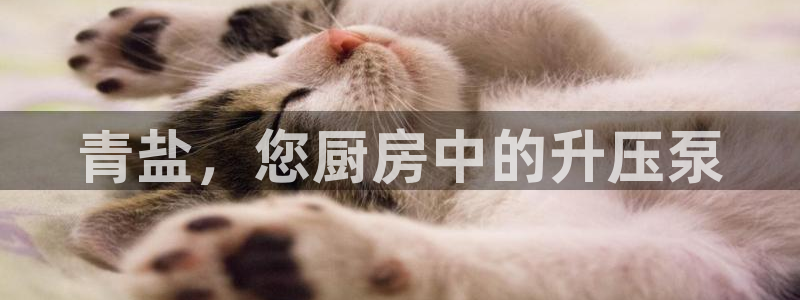 威九国际66m66大陆