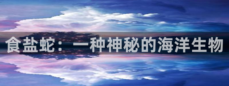 威九国际安全吗的认证团队