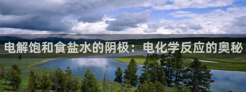 威九国际电视怎么样