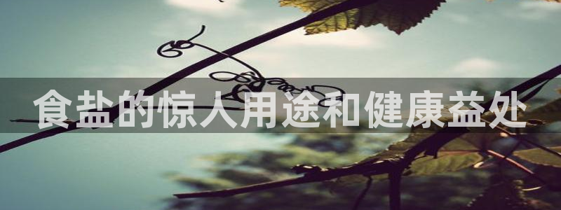 威九国际APP下载