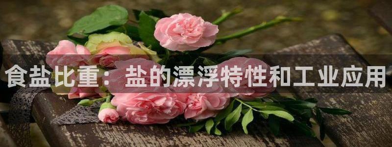 威九国际入口一