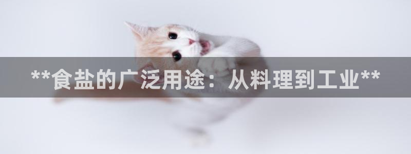 威九国际集团66m一6在线