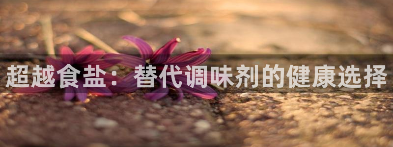 威九国际网站入口官网免费