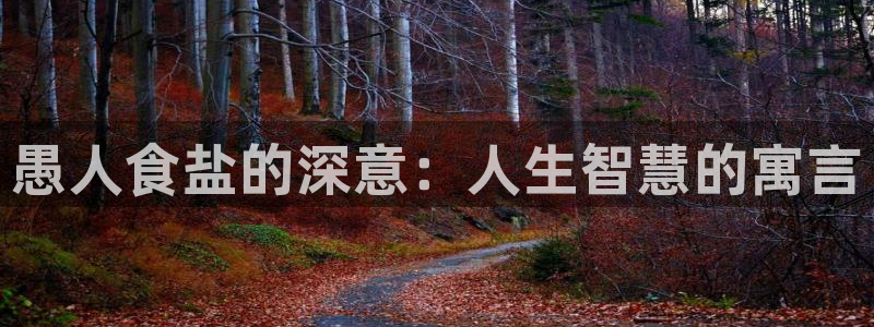 威九国际正规吗