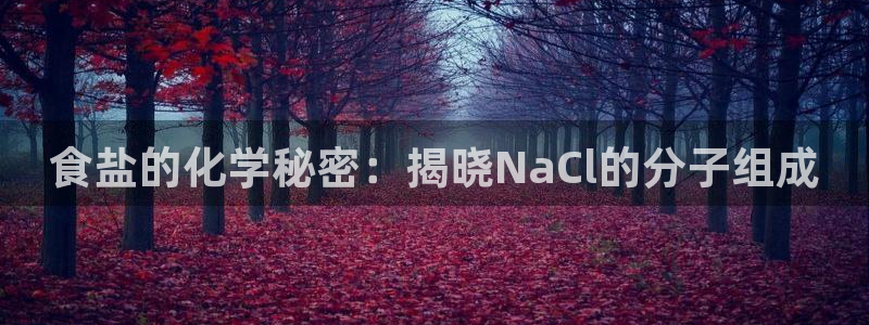 威九国际66在线