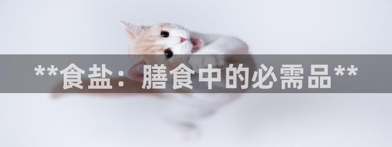 威九国际旗下艺人