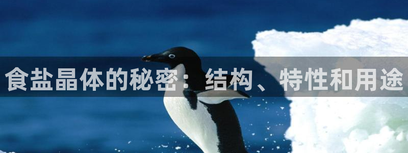 威九国际女演员名单介绍