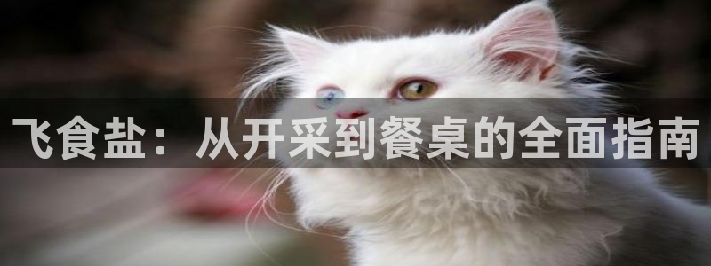 威九国际78免下载