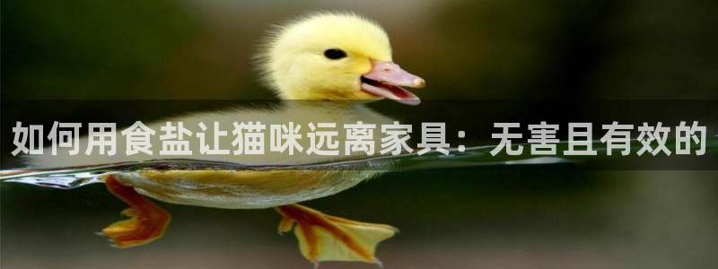 威九国际app大全下载安装