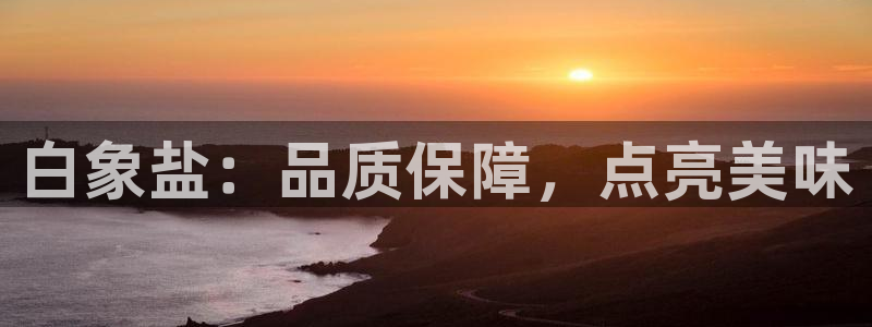 威九国际空降服务怎么样