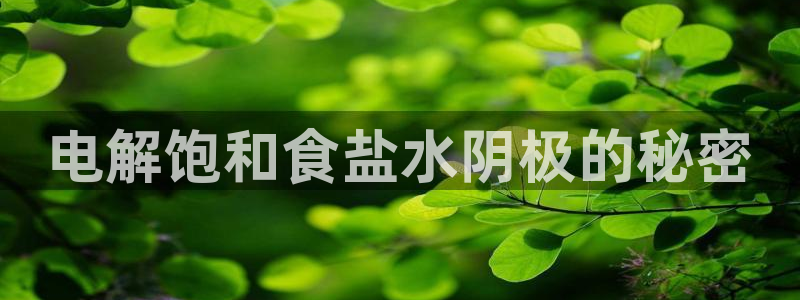 威九国际的金融服务怎么样