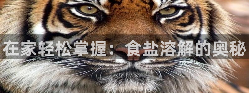 威九国际官方下载