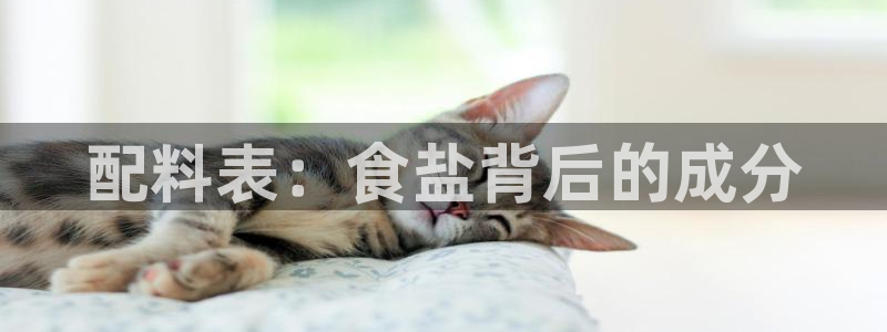 78mapp威九国际官网版