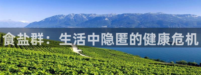 威九国际app下载