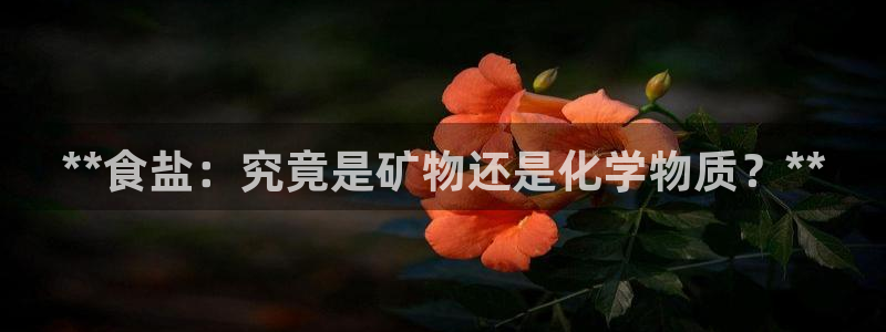 威九国际可以退钱吗怎么退的