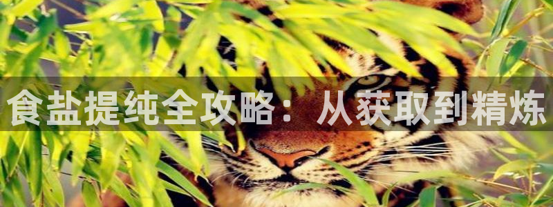 威九国际最近的视频