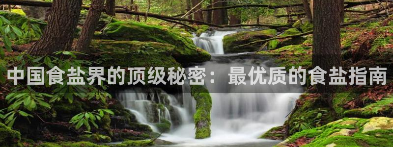 威九国际官方下载