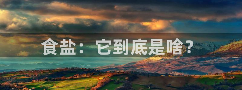 威九国际的演员