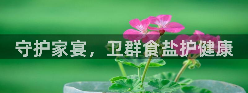 威九国际小广告