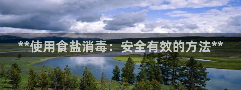 威九国际网站入口官网首页下载