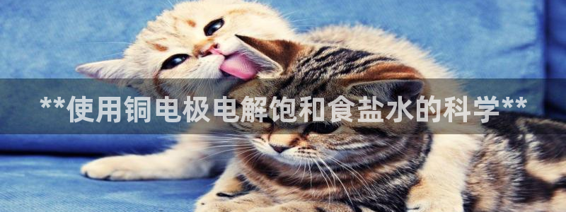 威九国际fX8x