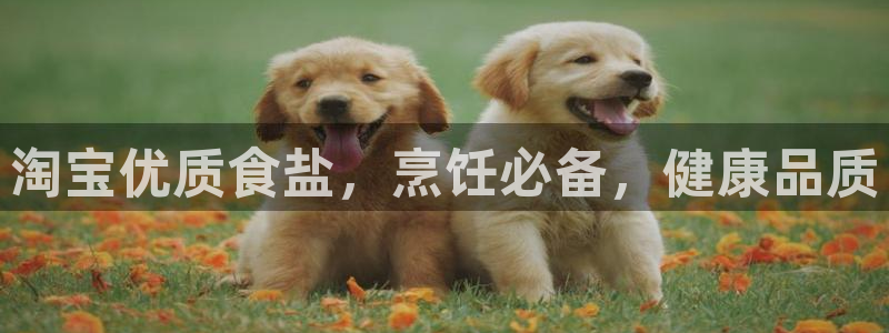 威九国际正规吗