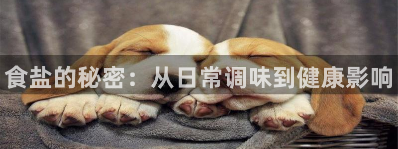 威九国际网站链接怎么打开