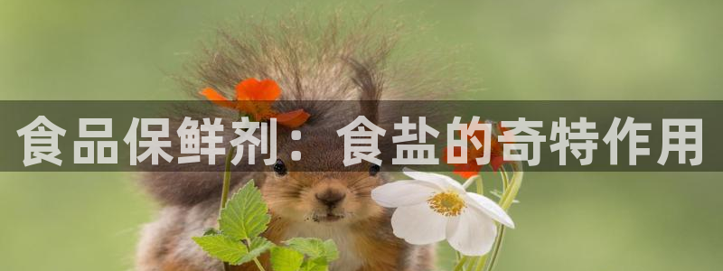 威九国际app客服电话