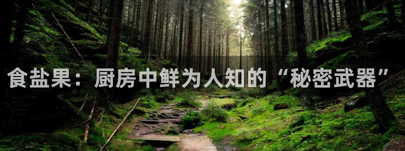 78.m威九国际官网版
