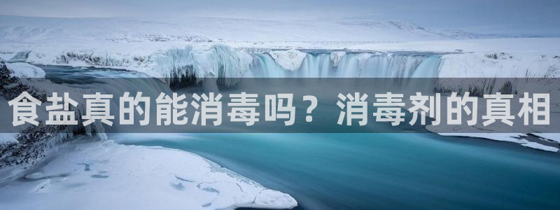 保定威九网络科技有限公司是干嘛的