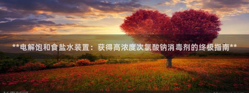 威九国际安全吗的认证团队