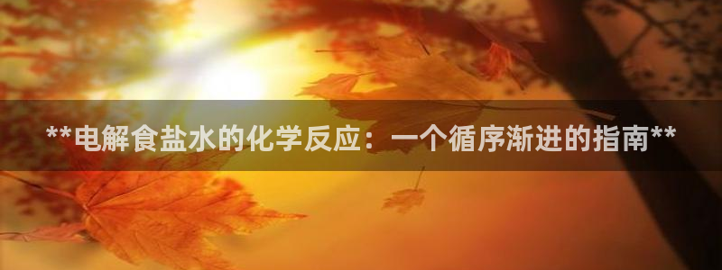 威九国际ft