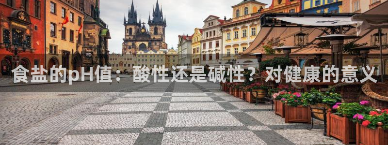 威九国际女主名字