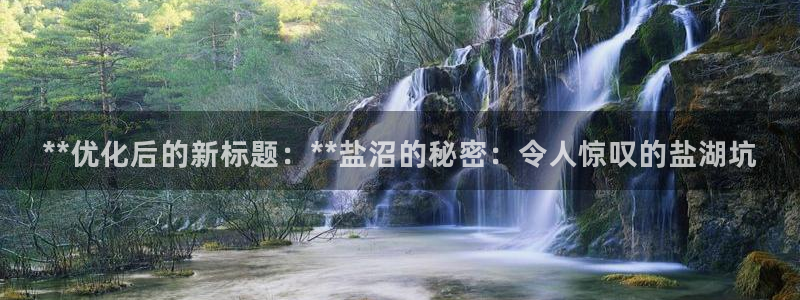 威九国际网站官网