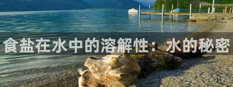 78mapp威九国际成全视频