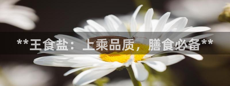 威九国际网站游戏