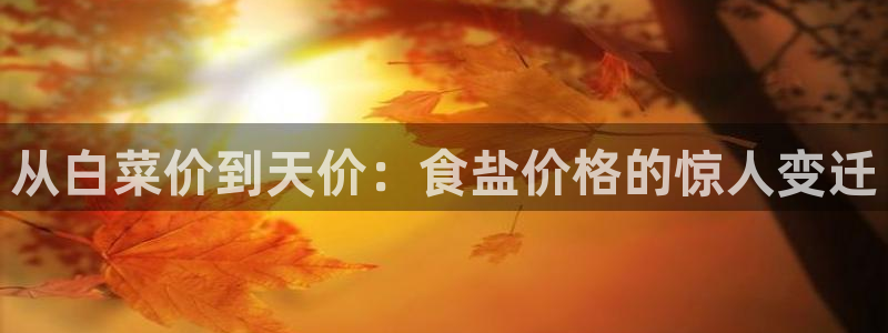 威九国际78mb游戏