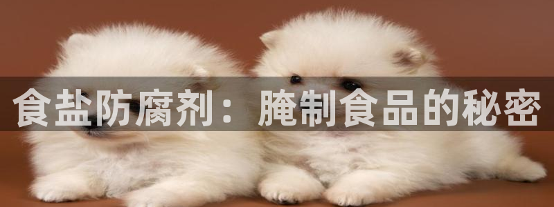 威九国际网站入口rdquo