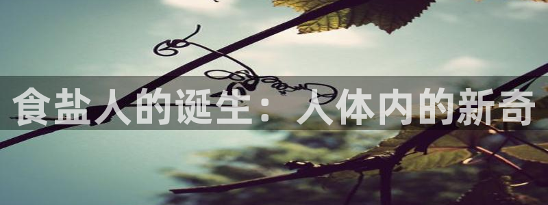 威九国际男演员
