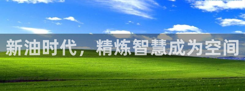 威九国际空降服务怎么样