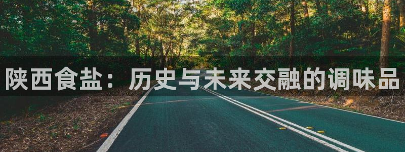威九国际免费ppt网址