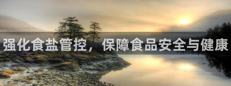 威九国际发布新版eBzxin2Tp：强化食盐管控，保障食品安