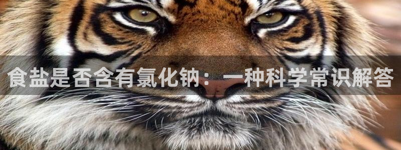 威九国际可以赚到钱