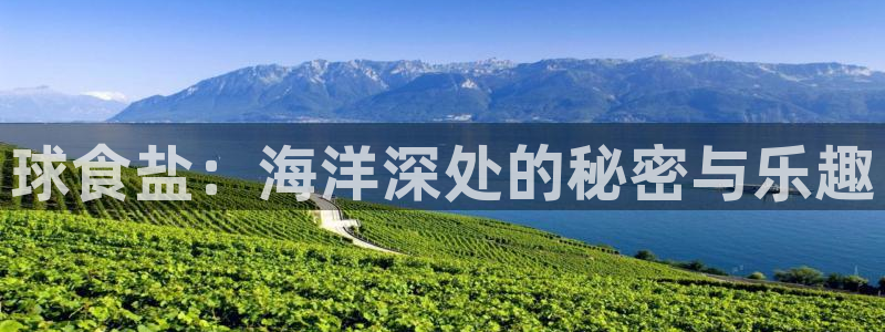 威九国际app网站安全吗